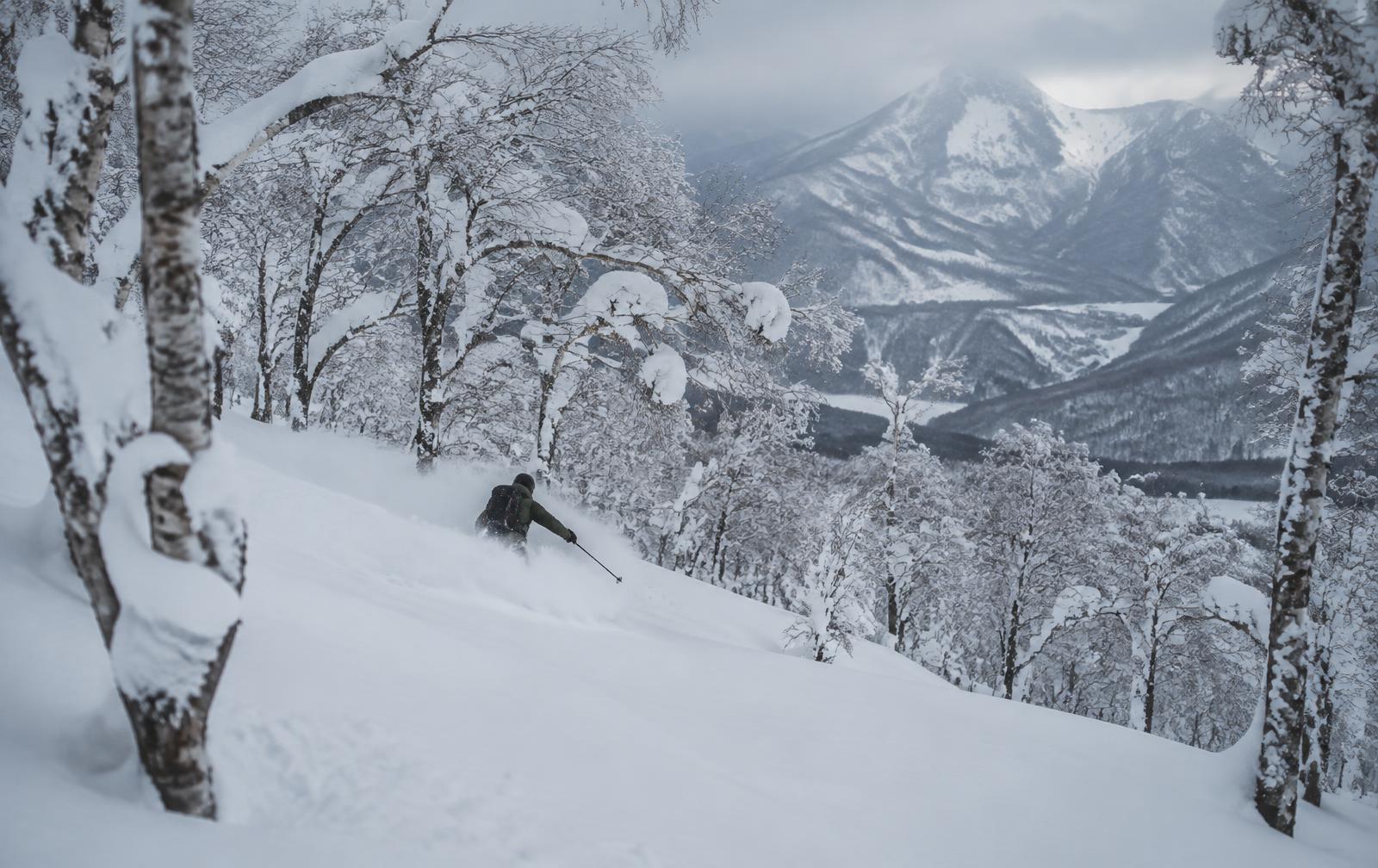 Powder
